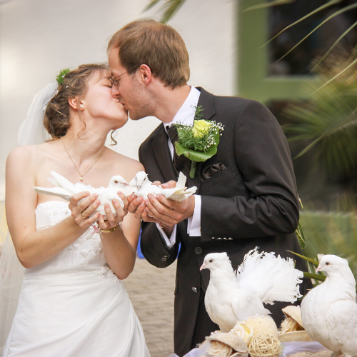 Auto clásico para matrimonio, boda, puede besar a la novia, pareja feliz,